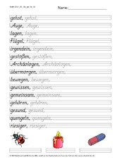 DSS_2S_Bu_ge_Nr_08.pdf